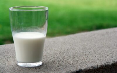 Ce qu’il faut savoir sur tous les différents types de lait!